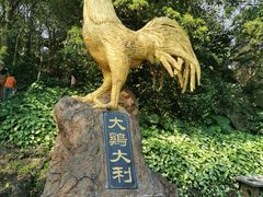 -海口火山口国家地质公园