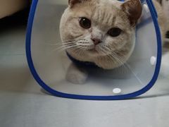 -瑞鹏瑞爱宠物医院·全科·猫科·血液透析中心(龙头寺店)