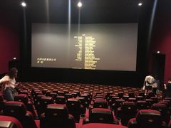 -AMG海上明珠影城(上海环球港RealDCinema店)