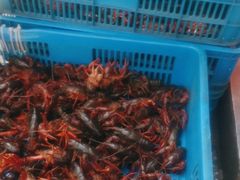 -杨氏青龙虾·羊蝎子(托乐嘉店)