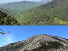 -朱雀国家森林公园