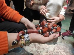 -酷嗒动物文化乐园(cutezoo西溪乐天城店)