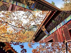 -沉浸北京·团建旅行·密室剧本杀·年会会议轰趴拓展