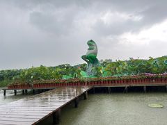 -池杉湖湿地公园