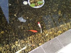 -扬州中集格兰云天大酒店