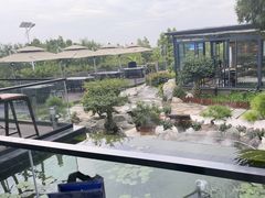 -蘇河湾·新鲁菜·泰山宴(泰山店)