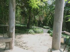 -水绘园