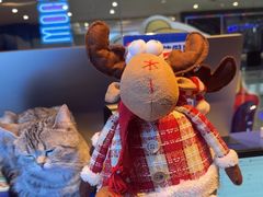 -神盾局科技密室(永川万达广场店)