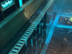 -温莎KTV(珠江路店)
