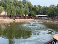 -尚庄度假村·庭台树下·户外烧烤·团建CS·轰趴营地(上庄水库店)