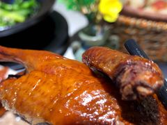 -鸽小宝(深圳首店)