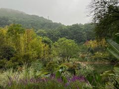 -缙云山景区