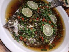 野菜蒸鲈鱼-老滇山寨•云南特色菜•地方菜•民族风情歌舞表演(金碧店)