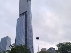 -紫峰大厦