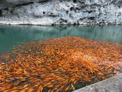 -楠溪江风景名胜区