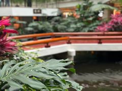 -广州白天鹅宾馆