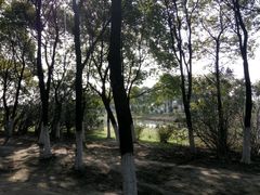 -艾溪湖湿地公园