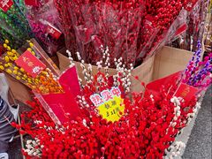 -越秀西湖花市(广州城市广场花卉店)