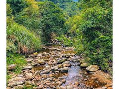 -梧桐山风景名胜区
