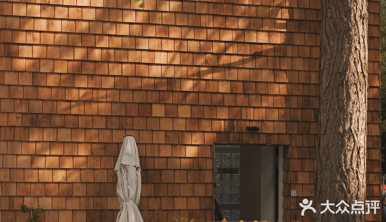 魔都秋天最火的银杏咖啡店