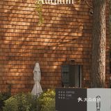 魔都秋天最火的银杏咖啡店