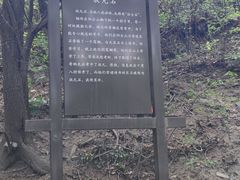 -阳台山自然风景区