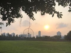 -万绿园