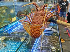 波士顿龙虾-大东海海鲜酒楼(渔人码头总店)