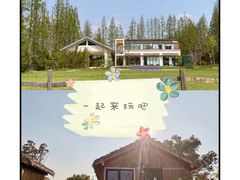 -前小桔亲子创意农场·草莓采摘·露营烧烤