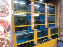 水产区-淳安二十八道·美食汇·淳鱼馆(阳光路店)