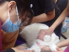 -美联众合动物医院·24h京西诊疗中心