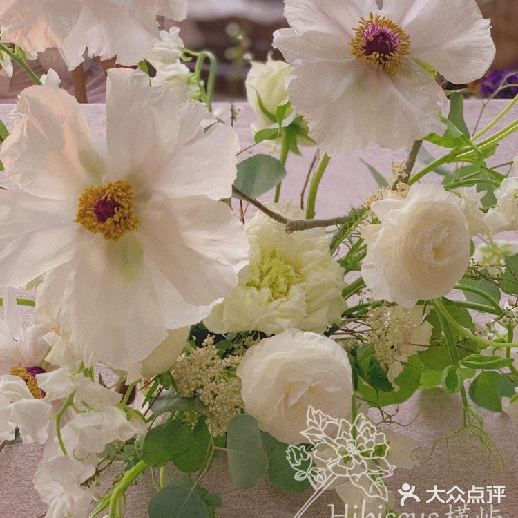 单瓣牡丹开花啦～