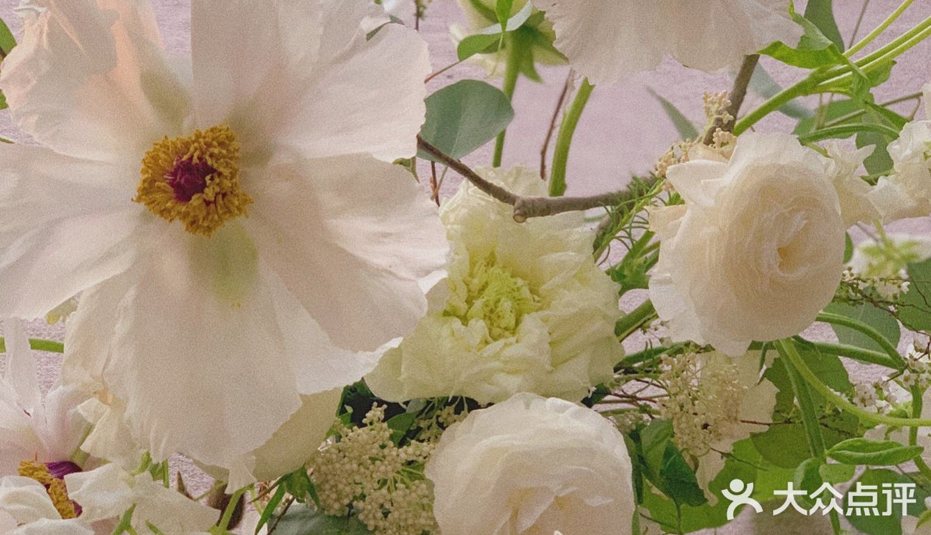 单瓣牡丹开花啦～