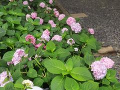 -常州古运河南大街文化旅游区-人民公园