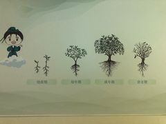 -中国茶叶博物馆(双峰馆区)