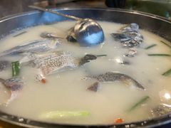 -丰乐餐厅·始于1999·本地老字号