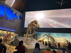 -抱抱地球咖啡馆(国家海洋博物馆店)