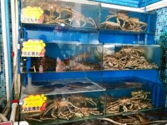 -蚝专家(北滘店)