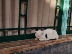 -恭王府博物馆