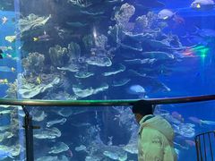 -泉城欧乐堡海洋极地世界