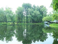 -上海共青森林公园