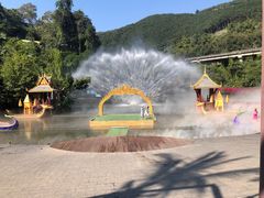 -西双版纳原始森林公园