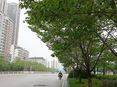 -华中科技大学光谷体育馆