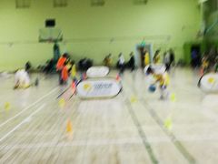 -对外经贸大学羽毛球馆