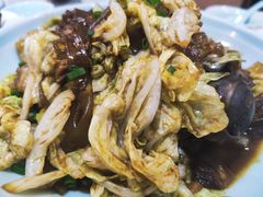 大骨白菜-渔娘渔家丹东海鲜(东直门店)