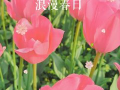 -大宁公园
