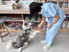 -谐和贝康宠物医院24小时·宠保定点(急重症转诊中心)