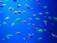 -华夏文旅西安度假区