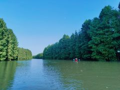 -上海海湾国家森林公园