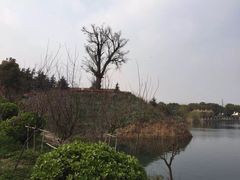 -桃花岛景观公园